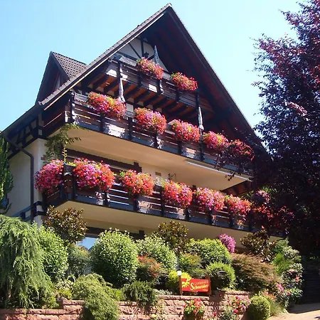 Schneider Guest house 3*