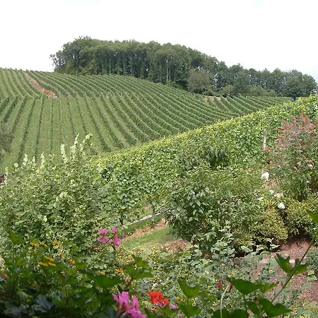 Maison d'hôtes Schneider 4*