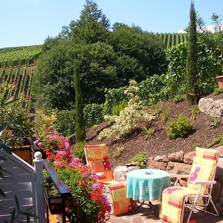 Vendégház Schneider 4*