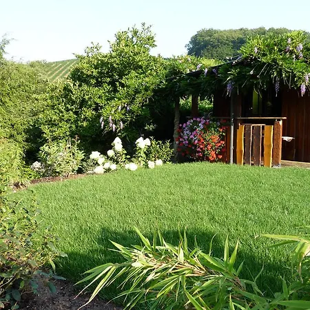 Schneider Guest house