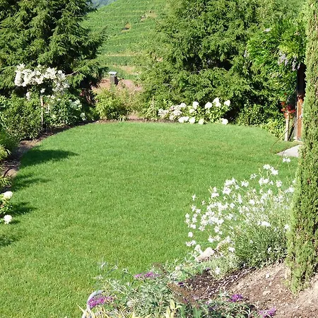 Schneider Sasbachwalden