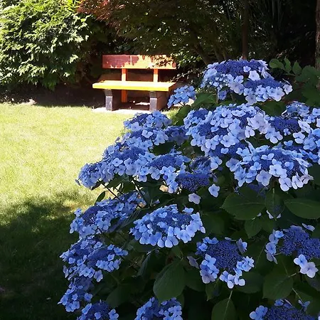 Vendégház Schneider