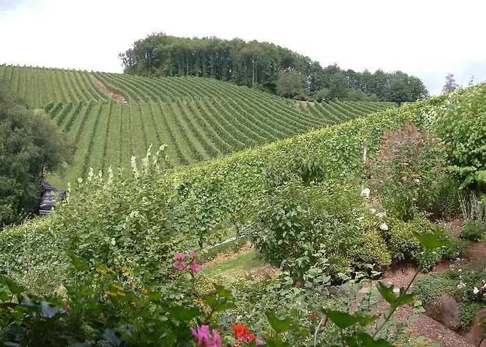 Casa de hóspedes Schneider 4*