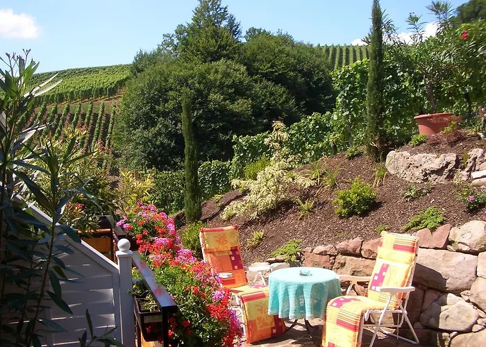 Casa de hóspedes Schneider 4*