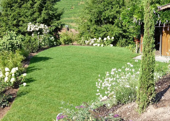 Schneider Sasbachwalden