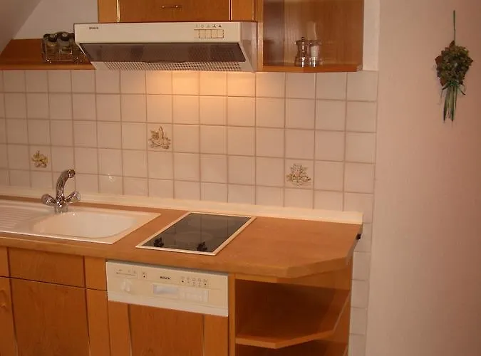 Casa de hóspedes Schneider 4*